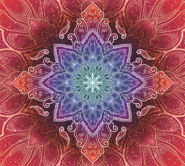 7c8c0a4f1d5a08443294f50707bcb640